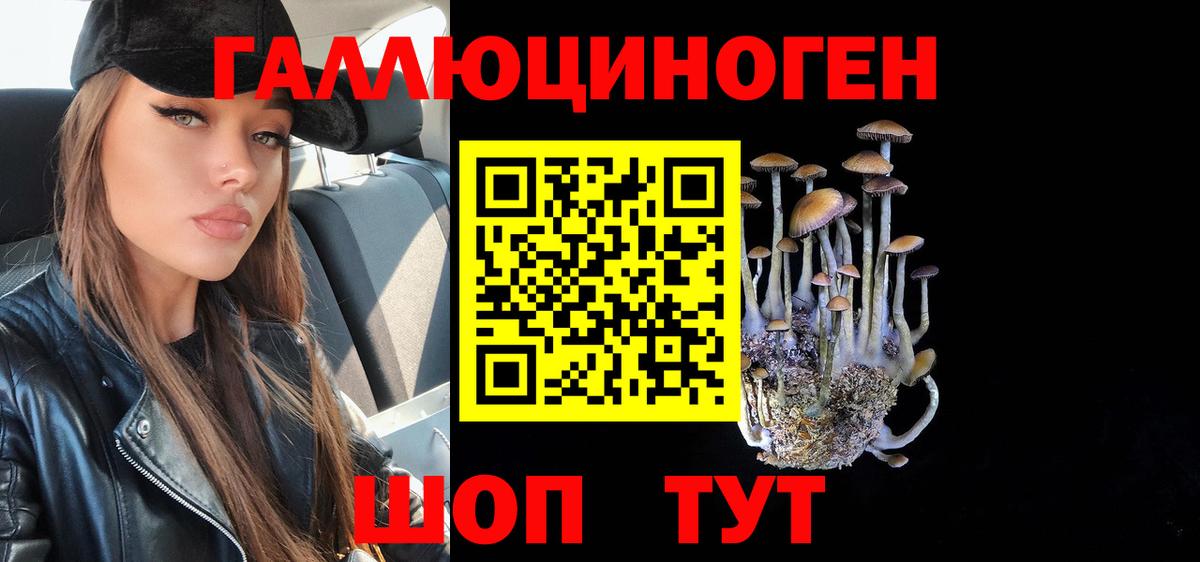 Апшеронск  Псилоцибиновые грибы Magic Shrooms  Вход с VPN 