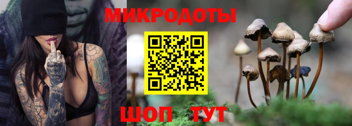 Псилоцибиновые грибы GOLDEN TEACHER Апшеронск
